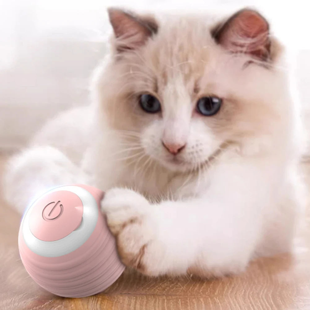 Interactive Cat  Automatic Rotating Rolling Ball