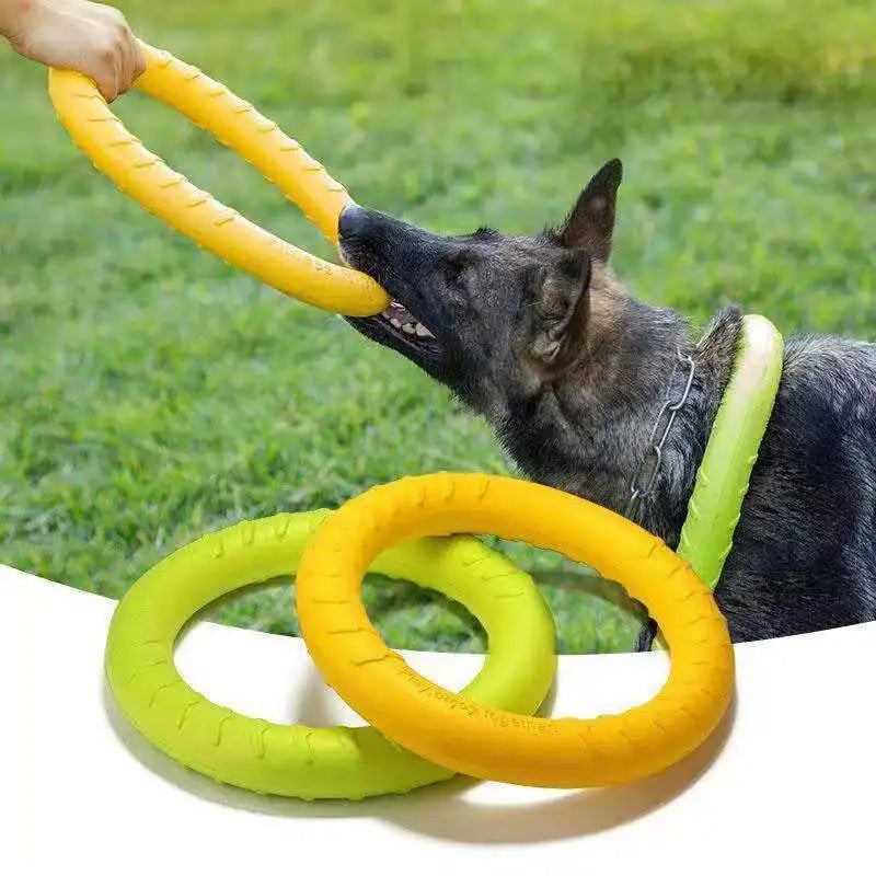 Pet Flying Disk Chewing Toy