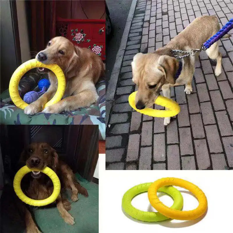 Pet Flying Disk Chewing Toy