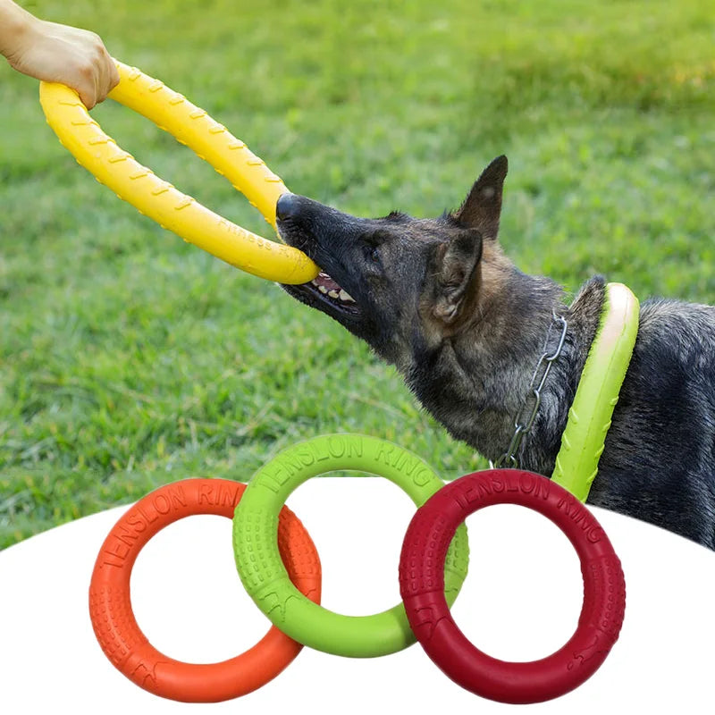 Pet Flying Disk Chewing Toy