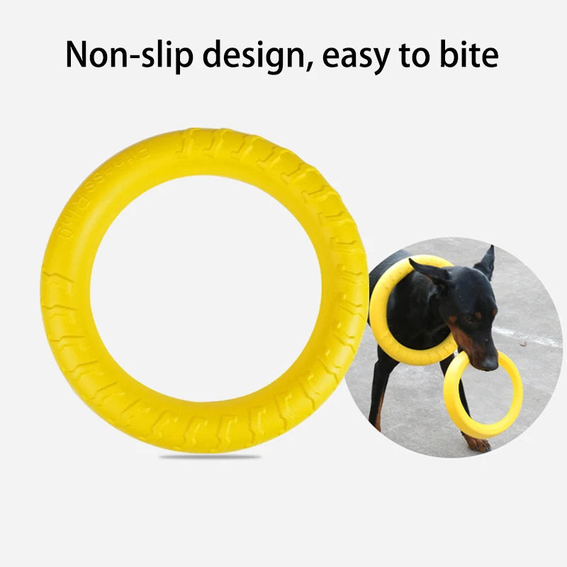 Pet Flying Disk Chewing Toy