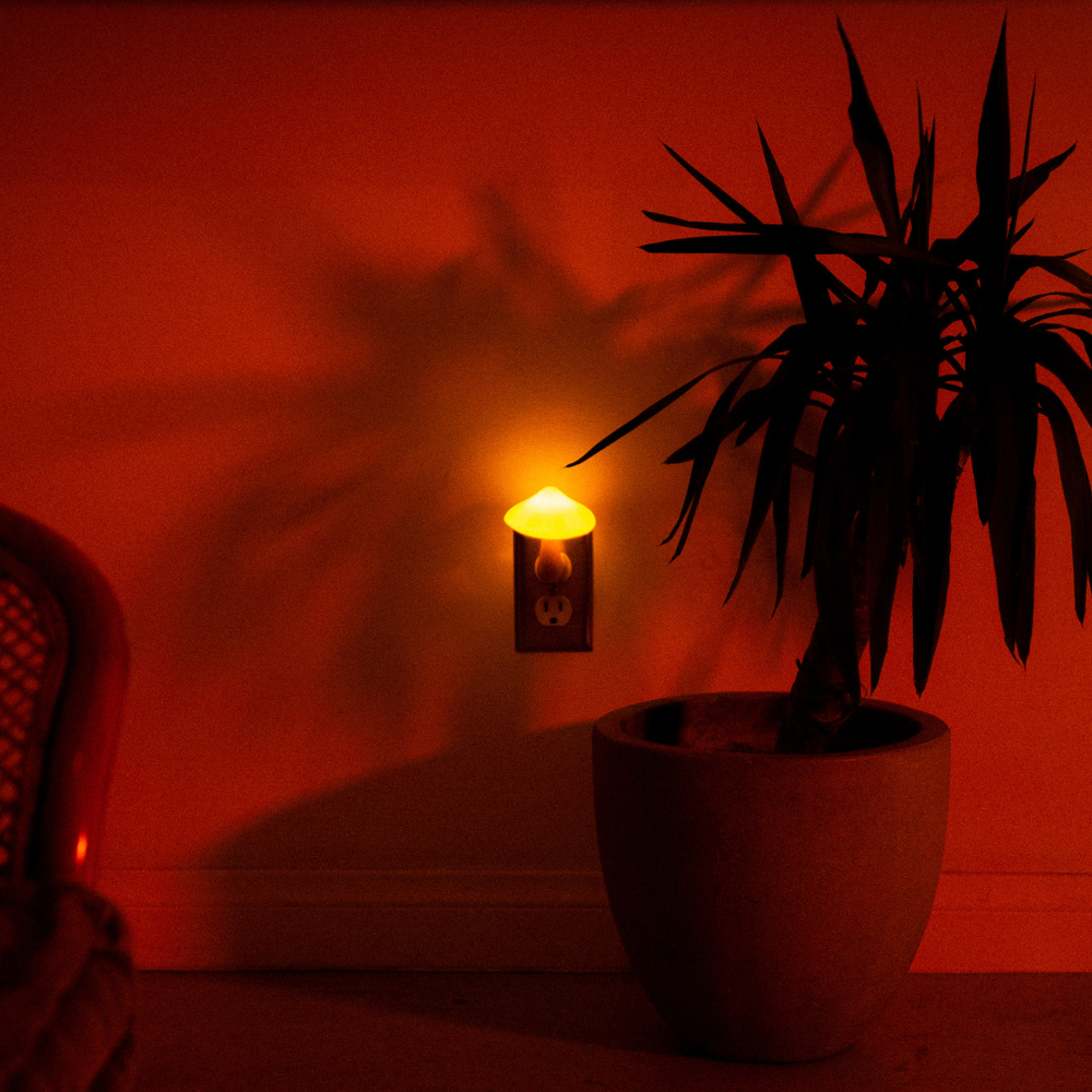 Mushroom Wall Lamp