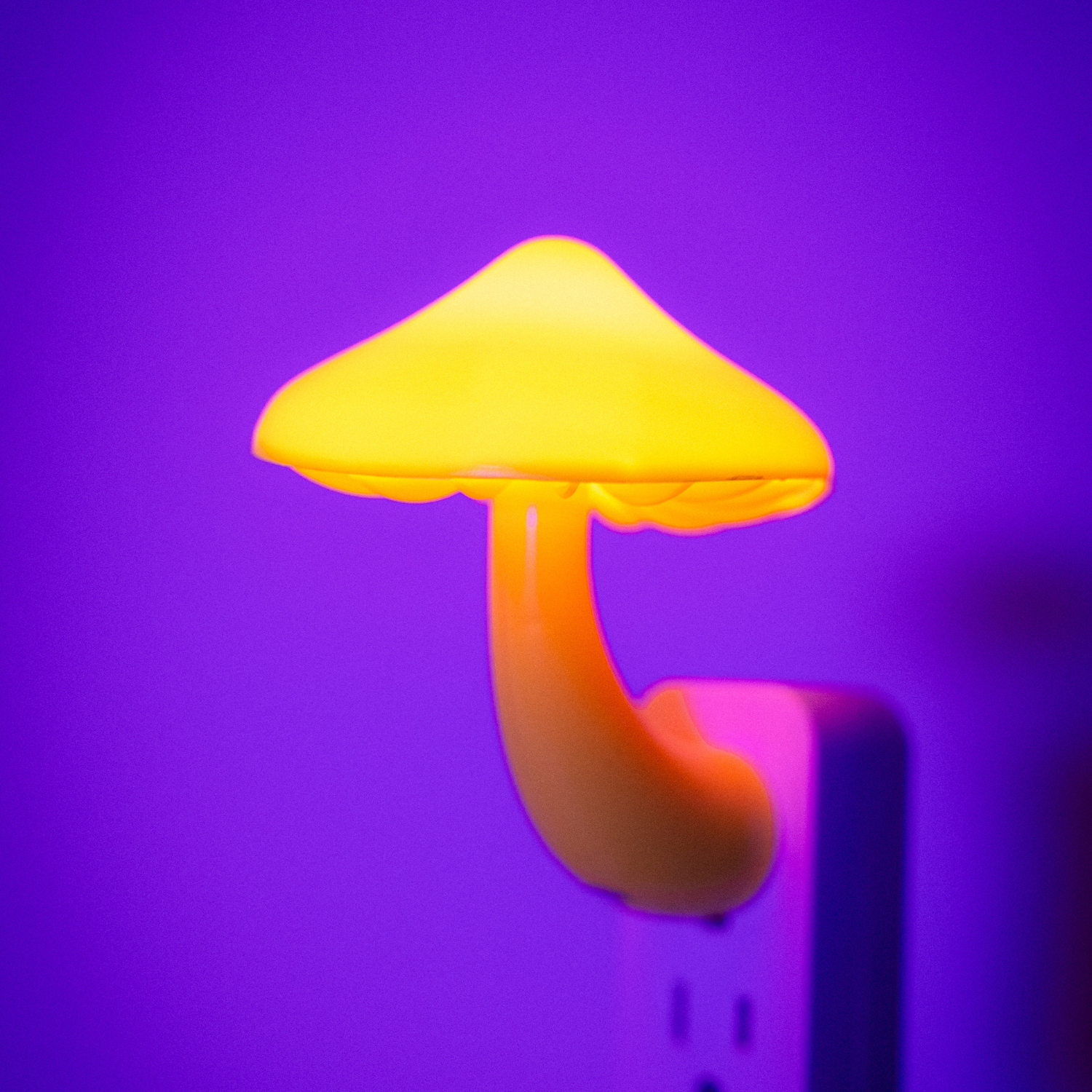 Mushroom Wall Lamp